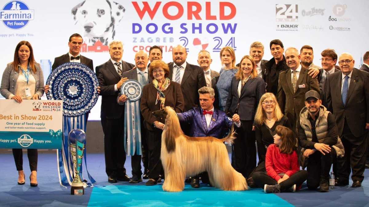 archivo infogate web-5-2-34-60