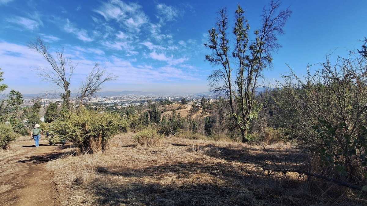 archivo infogate web-5-2-34-62