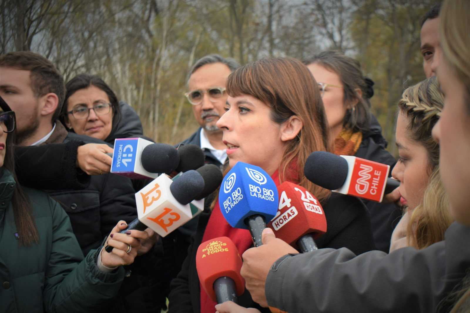 Delegada presidencial RM, Constanza Martínez