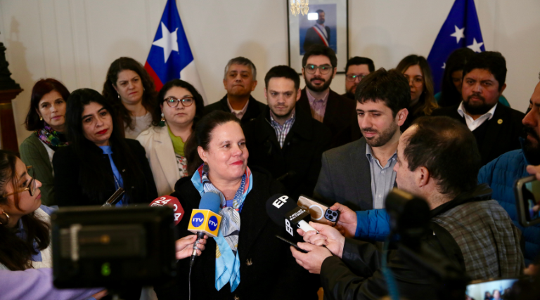 Ministra Maya Fernández