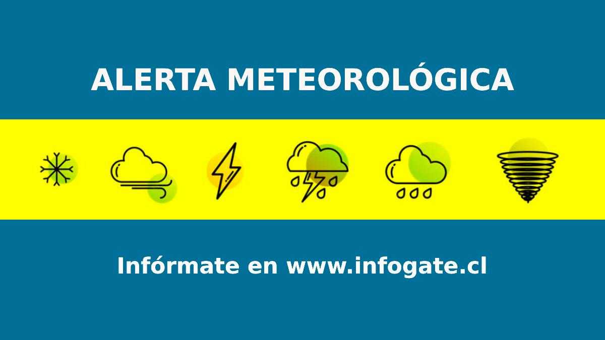 WhatsApp Image 2024-06-20 at 20.51.14