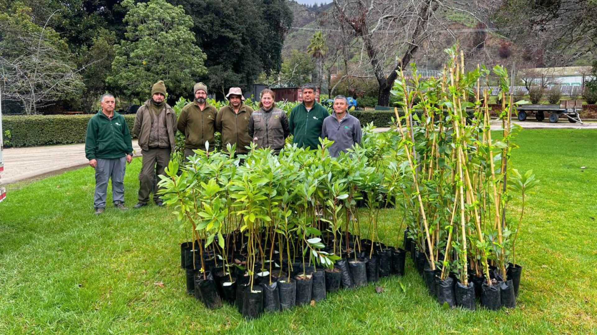 arboles conafpara jb24