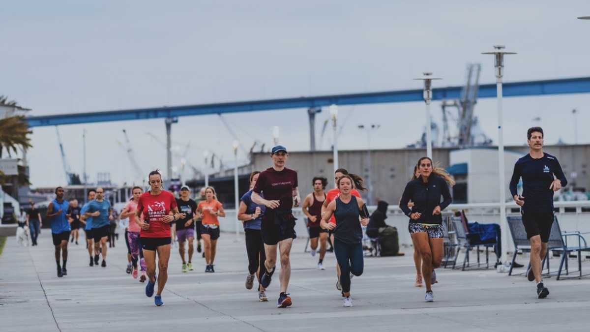 archivo infogate web-5-2-34-17