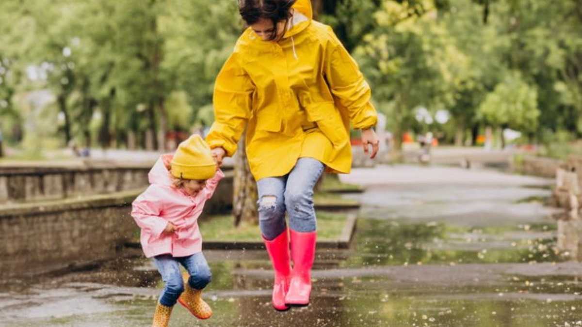 archivo infogate web-5-2-34-18