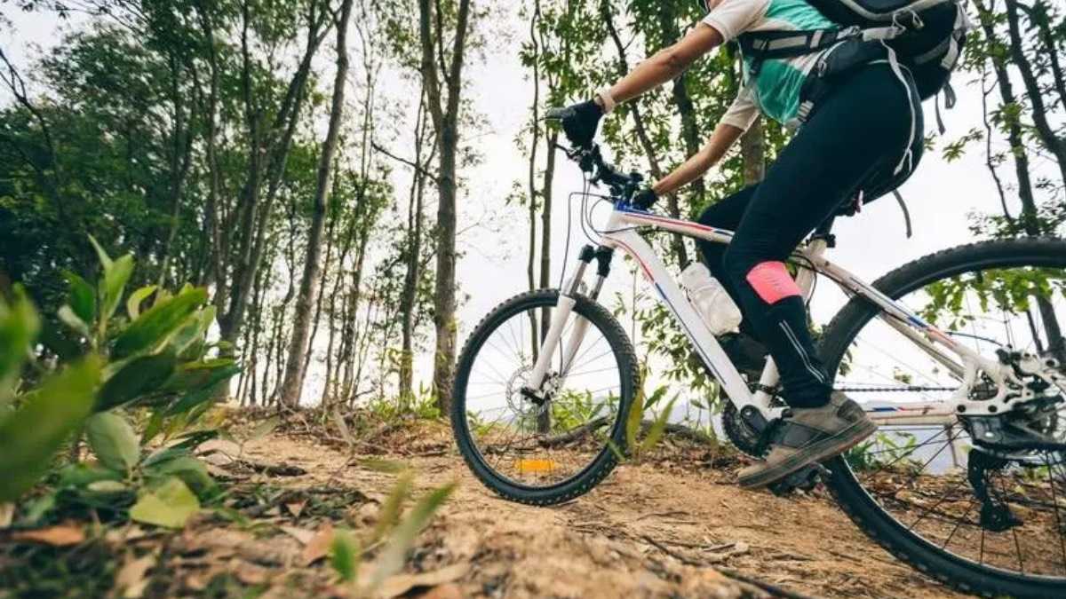 archivo infogate web-5-2-34-19