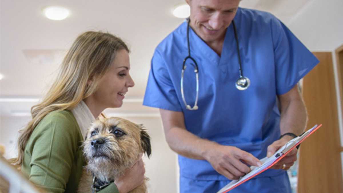 archivo infogate web-5-2-34-24