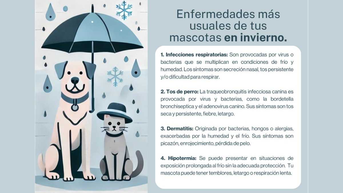 archivo infogate web-5-2-34-31