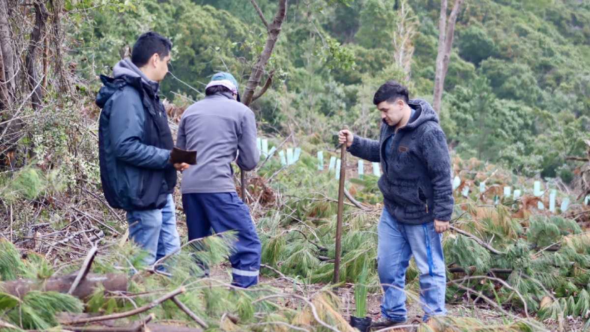 archivo infogate web-5-2-34-37