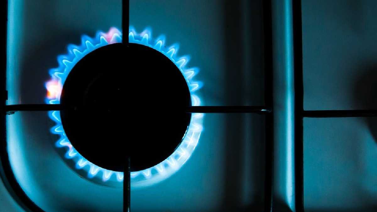 archivo infogate web-5-2-34-46