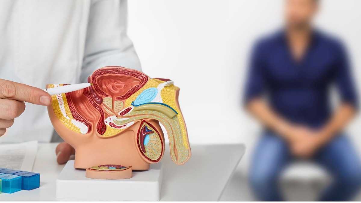 archivo infogate web-5-2-34-48