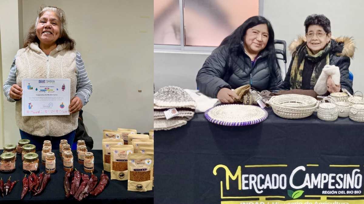 archivo infogate web-5-2-34-51