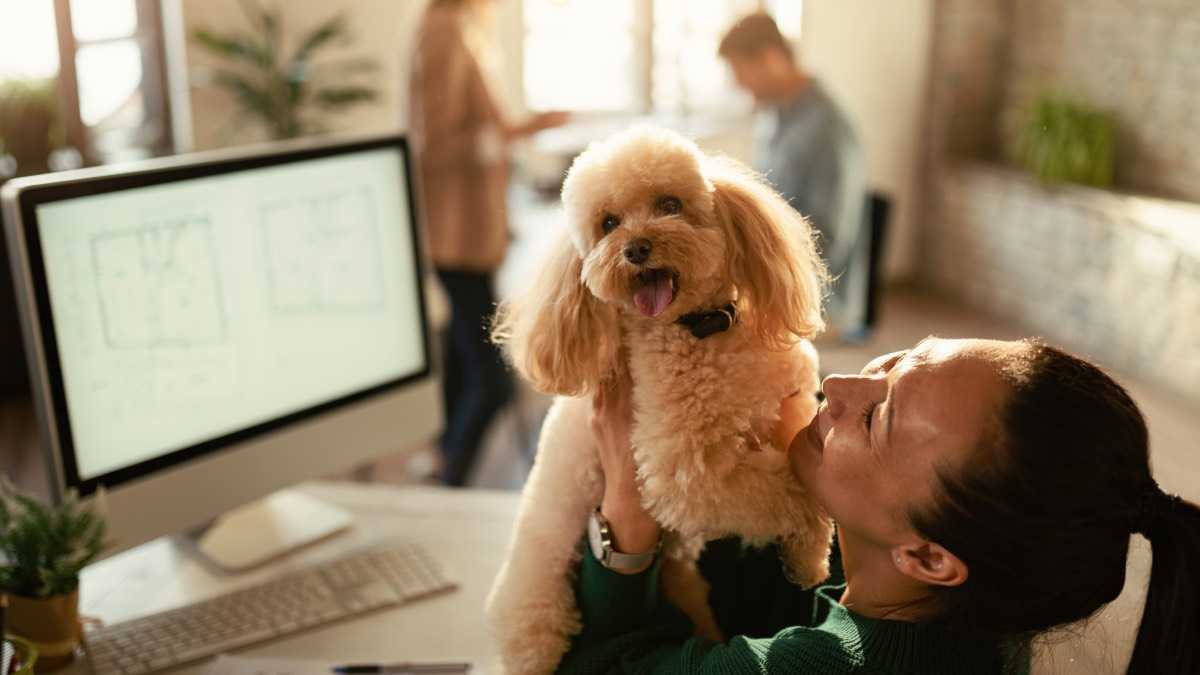 archivo infogate web-5-2-34-6