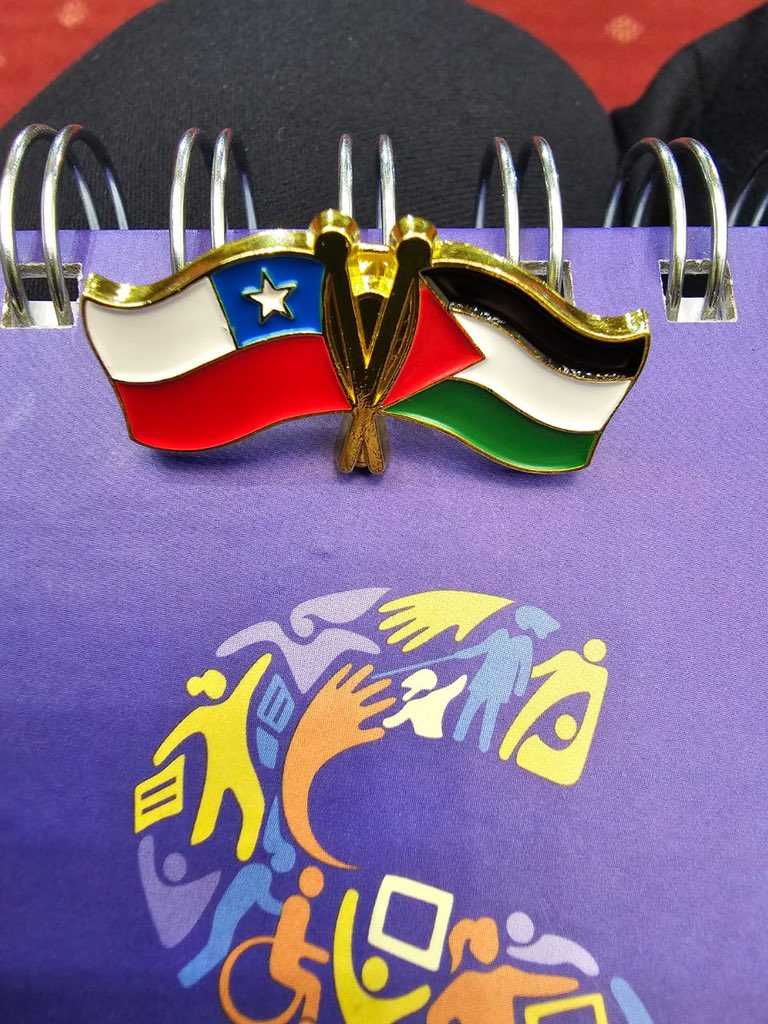 chile-palestina