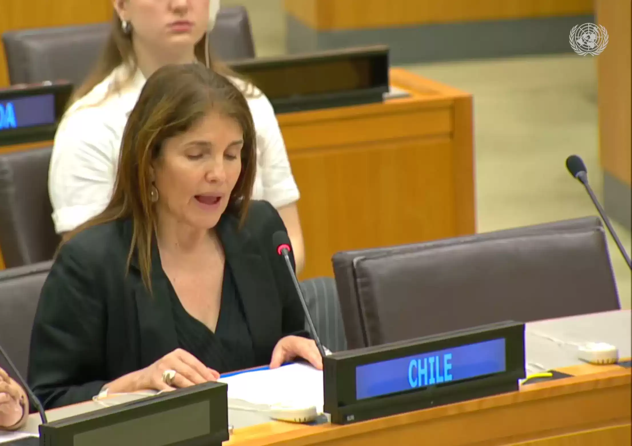 embajadora chiule onu