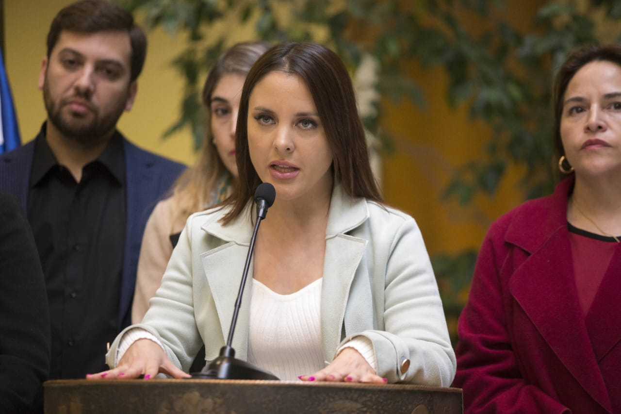 Diputada Camila Musante