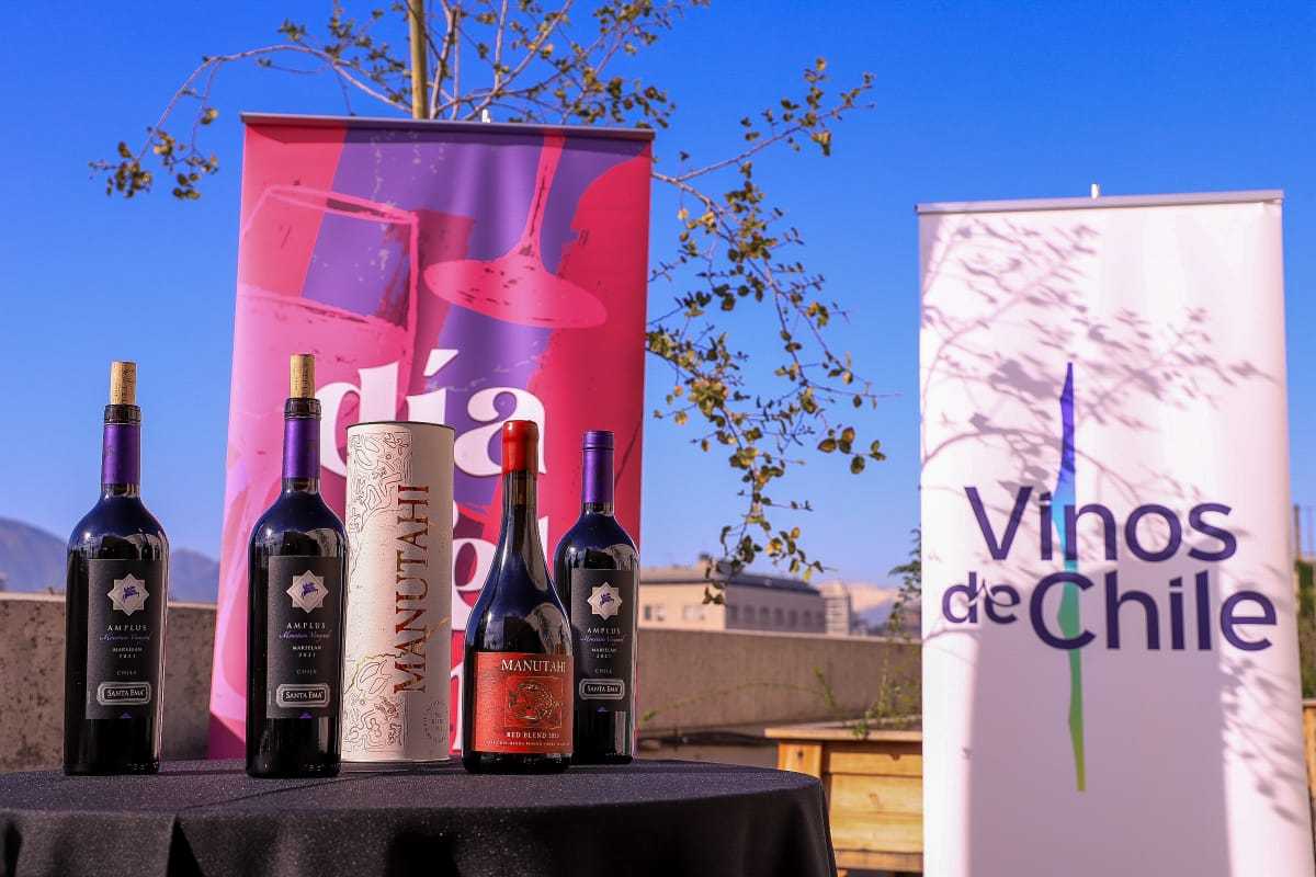 Minagri-Vinos-de-Chile-1