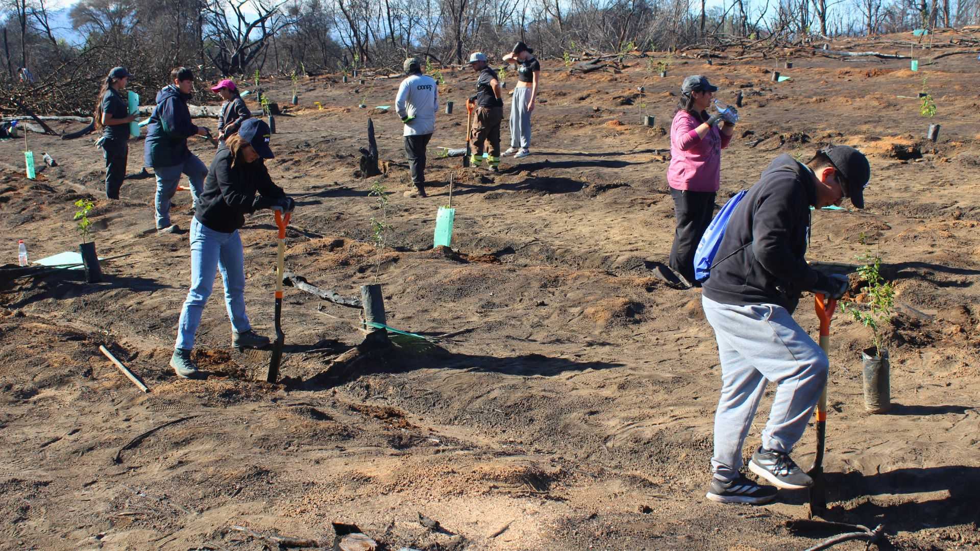Reforstacionpenuela15julio24