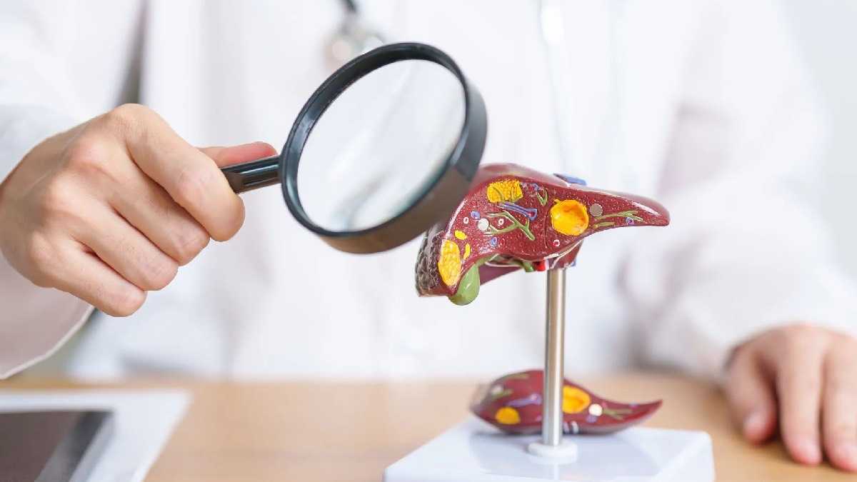 archivo infogate web-5-2-34-23