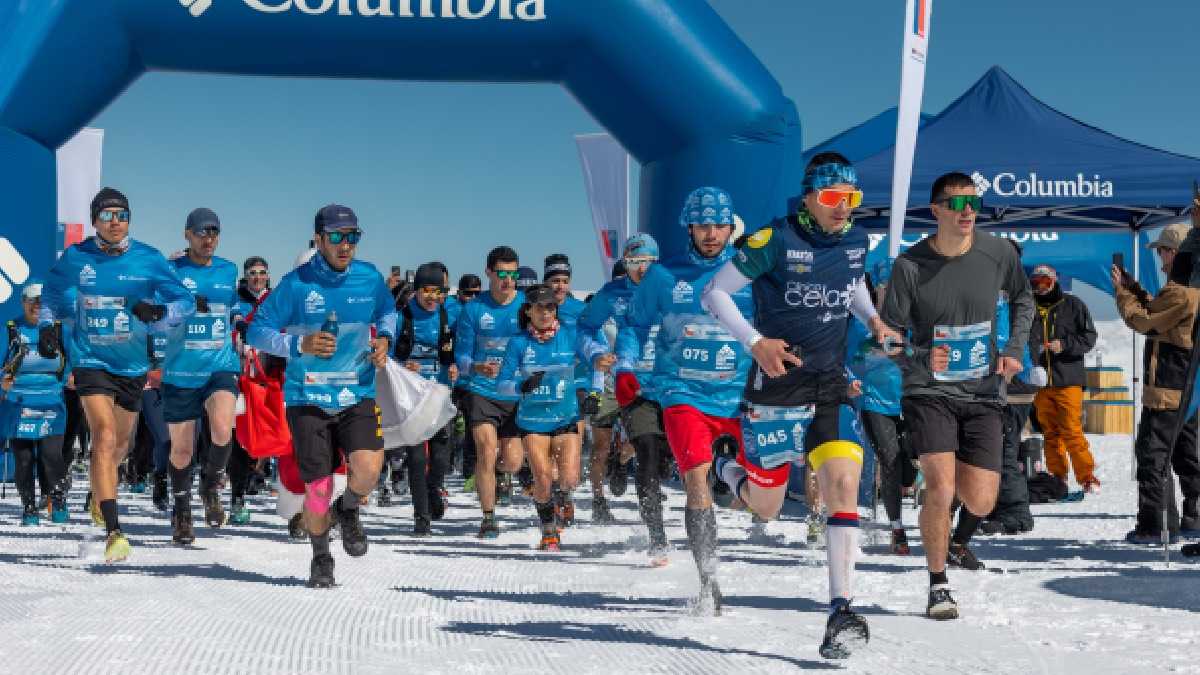 archivo infogate web-5-2-34-27