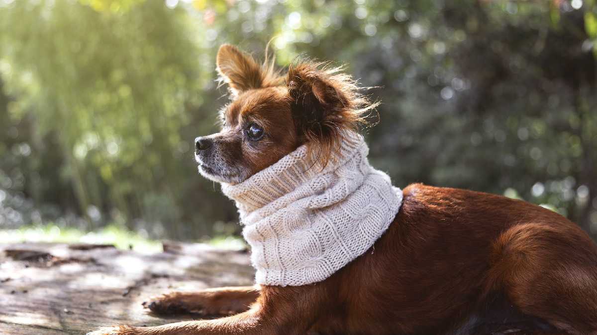 archivo infogate web-5-2-34-29