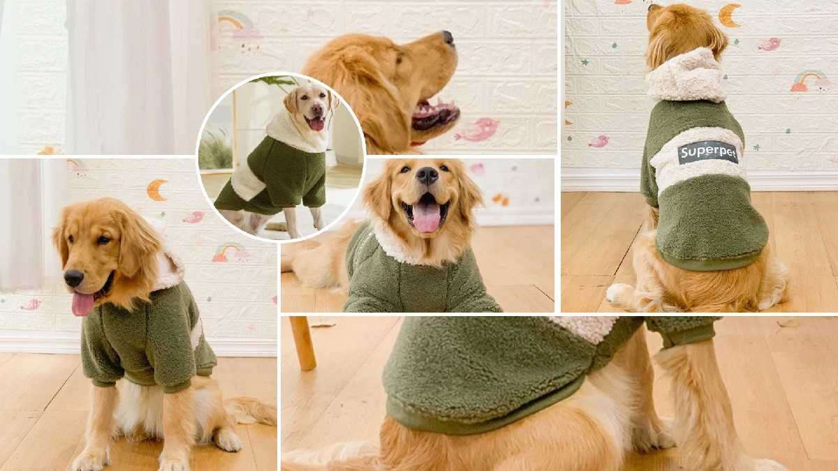 archivo infogate web-5-2-34-31