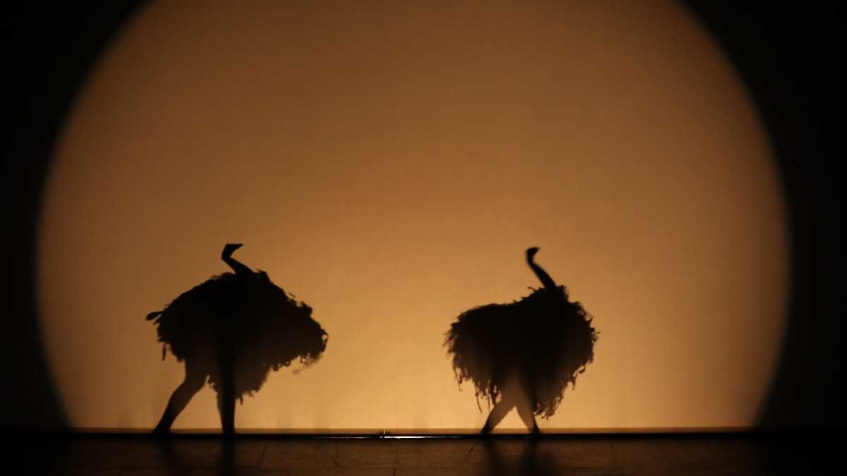 archivo infogate web-5-2-34-36