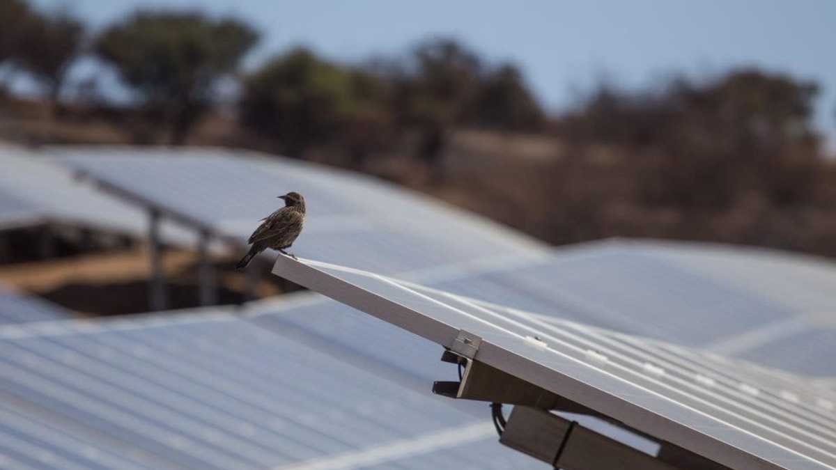 archivo infogate web-5-2-34-40