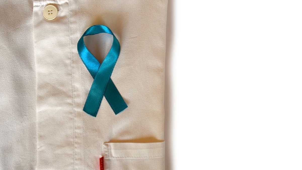 archivo infogate web-5-2-34-5