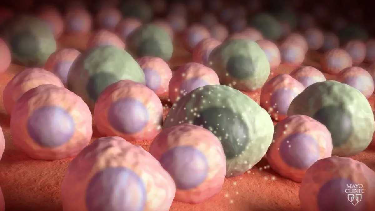 archivo infogate web-5-2-34-51