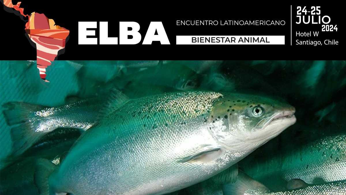 archivo infogate web-5-2-34-53