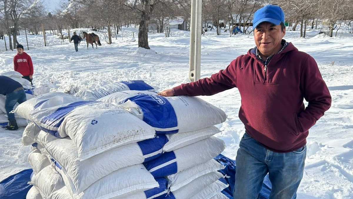 archivo infogate web-5-2-34-65