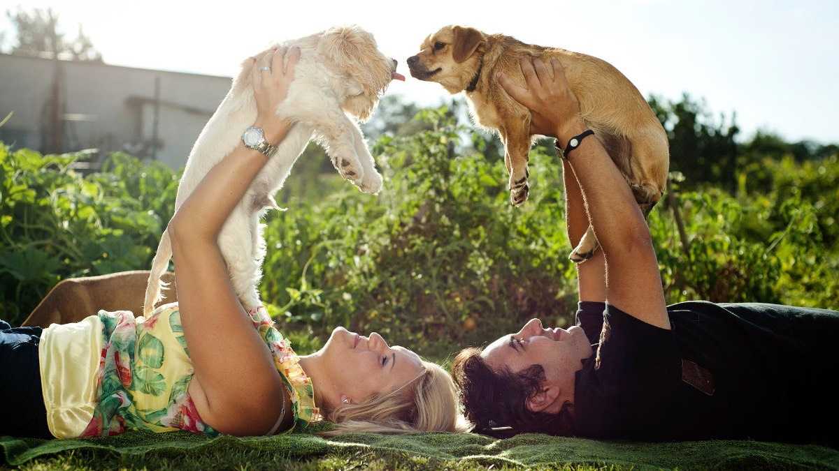 archivo infogate web-5-2-34-73