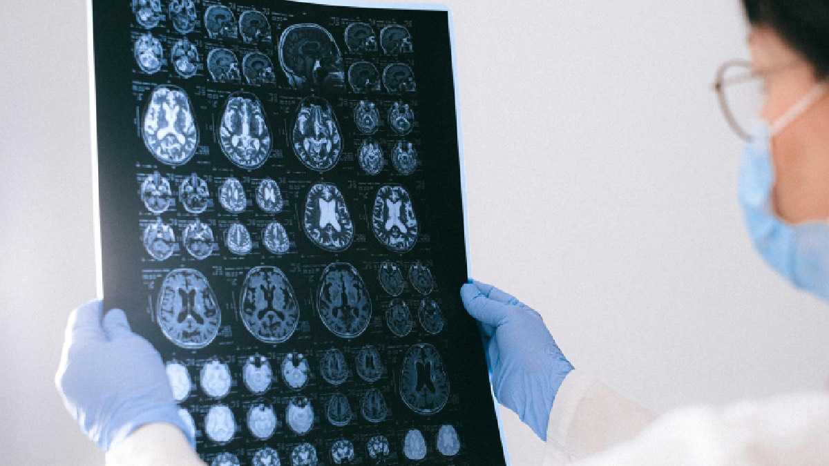 archivo infogate web-5-2-34-8