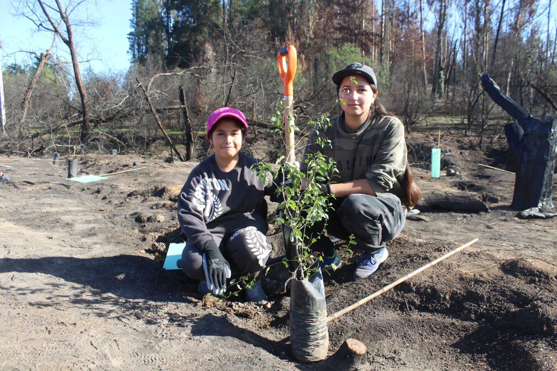 reforstacionpenuelas 2