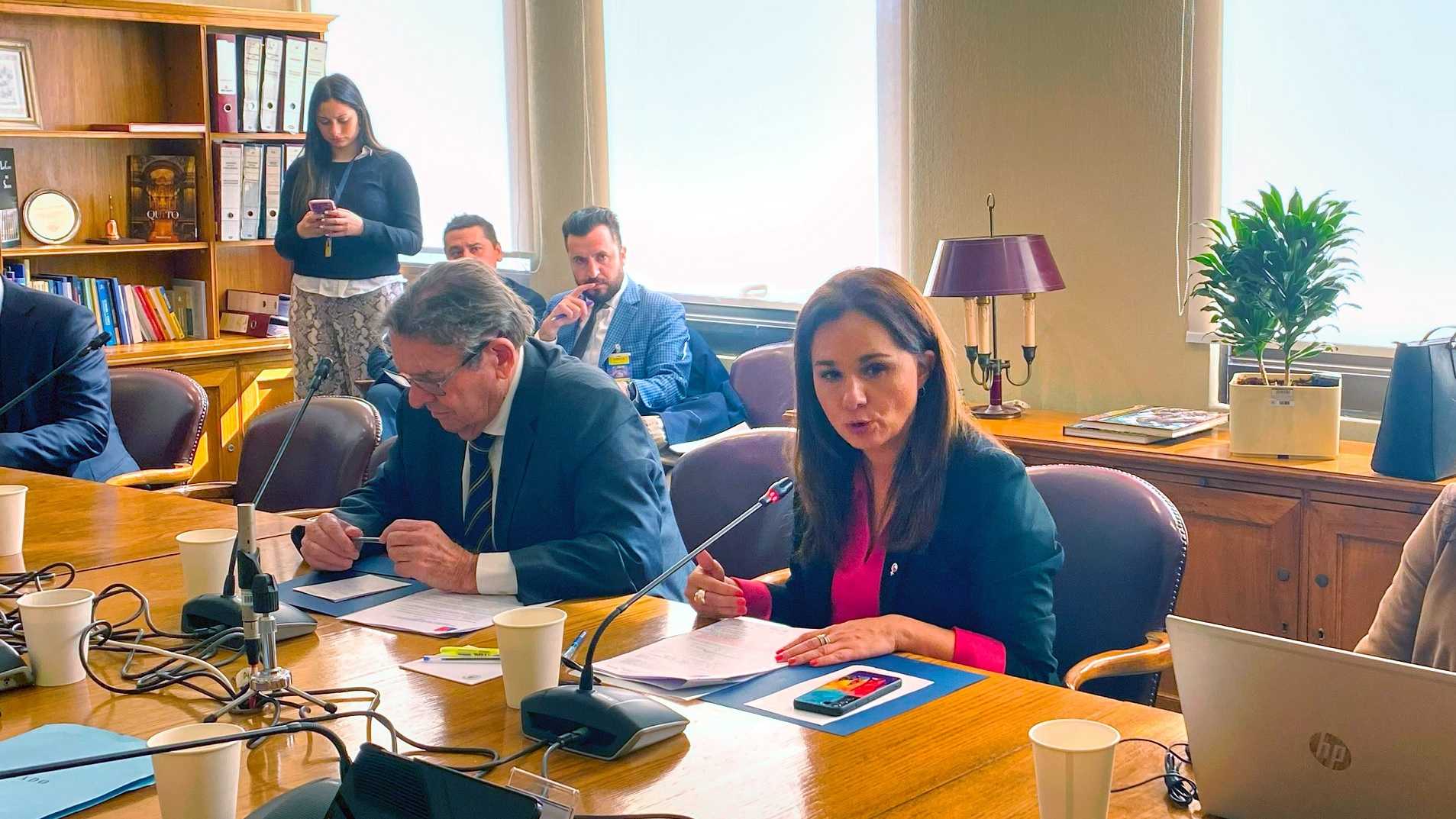 Gazmuri De la Fuente Comision RREE Senado 06-08-2024