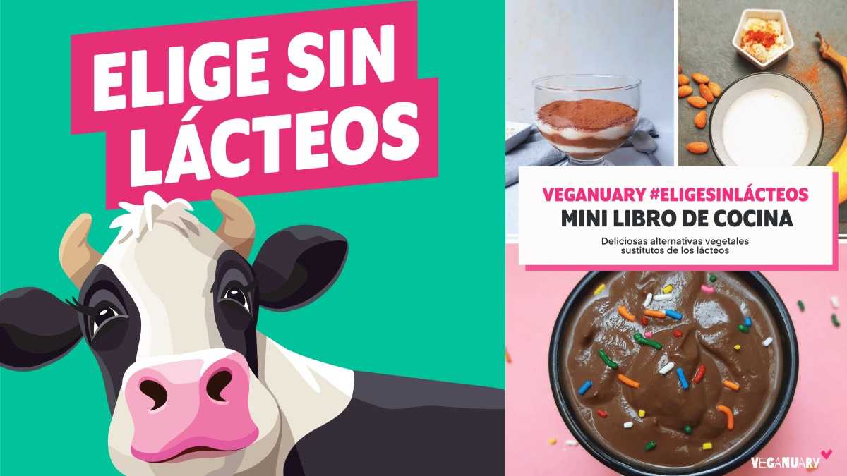 archivo infogate web-5-2-34-13