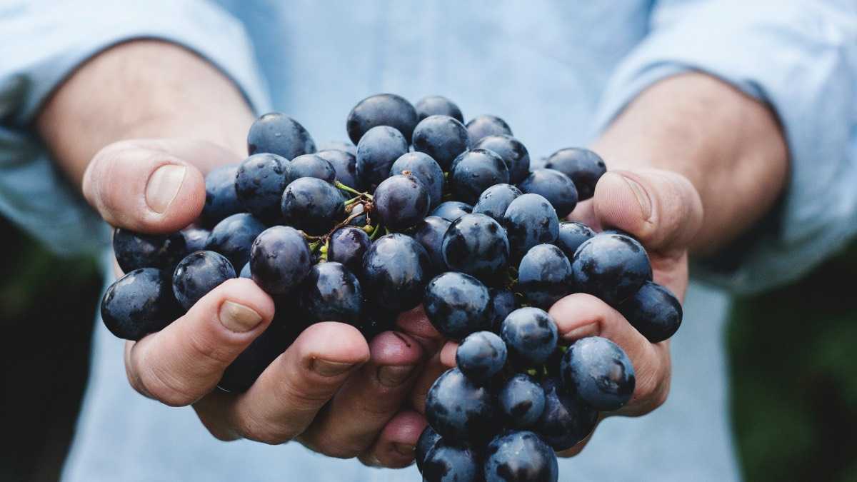 archivo infogate web-5-2-34-17