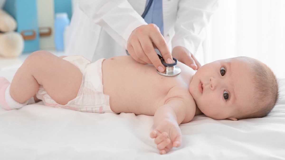 archivo infogate web-5-2-34-30