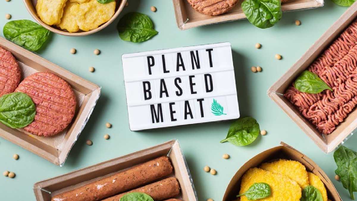 archivo infogate web-5-2-34-31