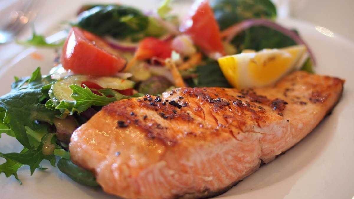 archivo infogate web-5-2-34-50