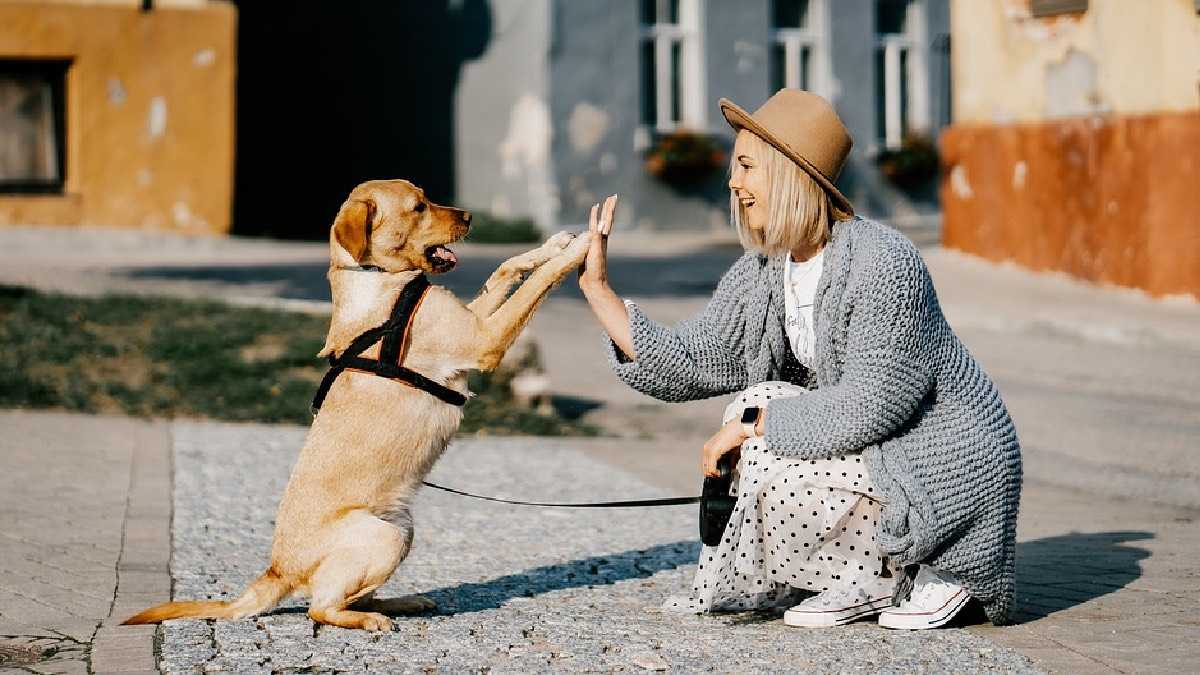 archivo infogate web-5-2-34-55