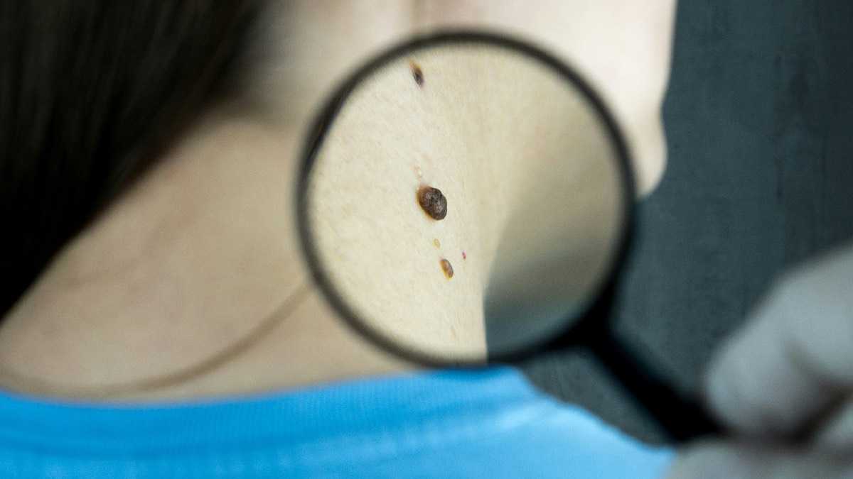 archivo infogate web-5-2-34-63