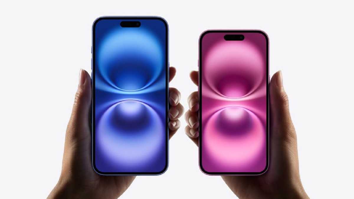 archivo infogate web-5-2-34-2