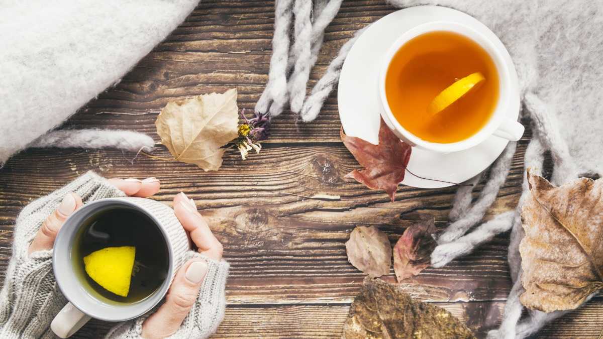 archivo infogate web-5-2-34-23