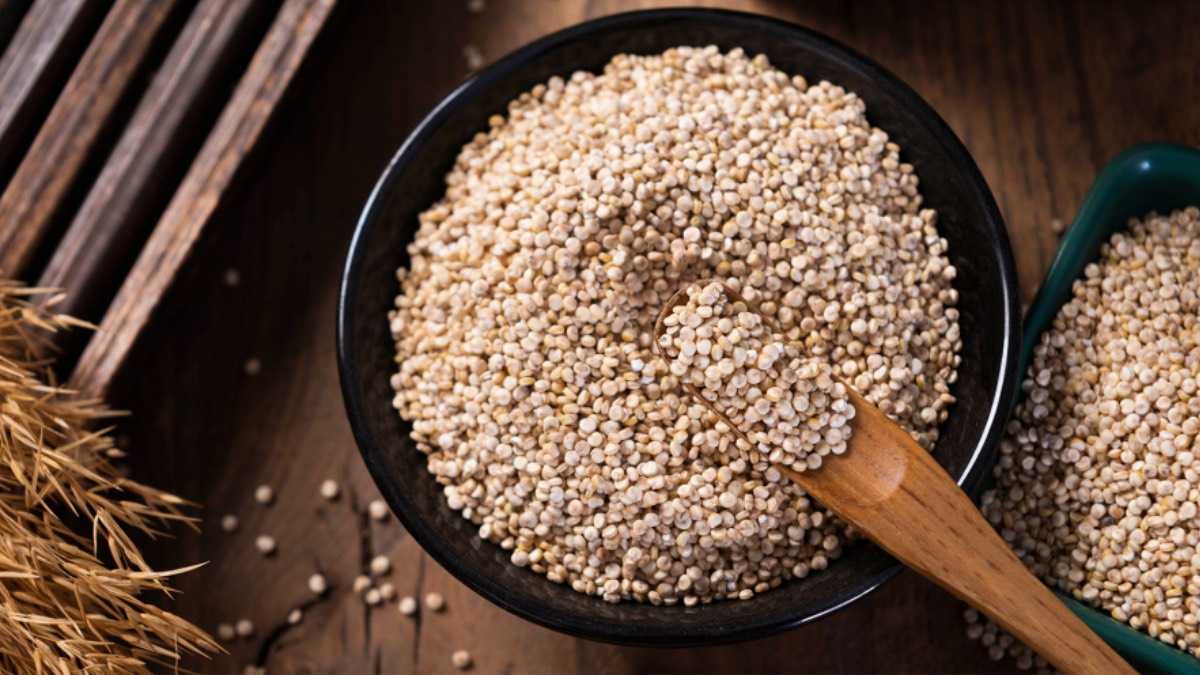 archivo infogate web-5-2-34-33