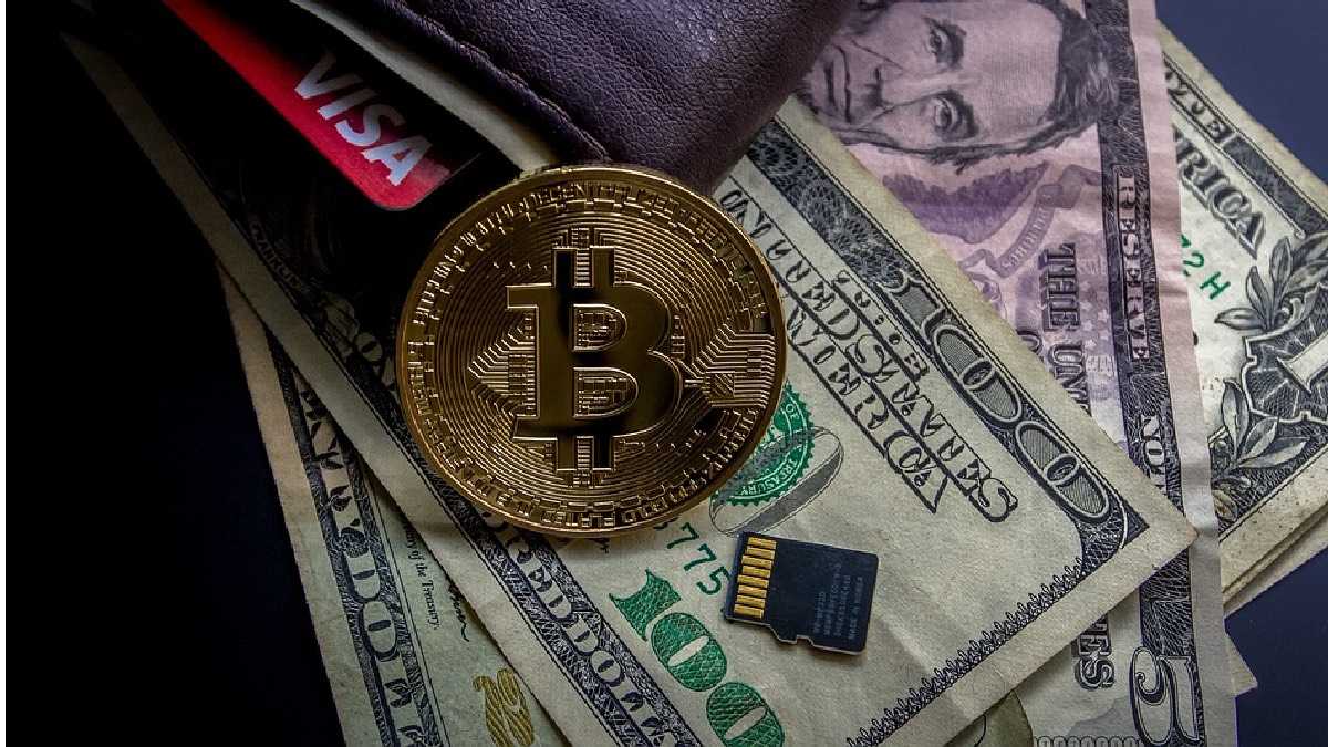 archivo infogate web-5-2-34-4