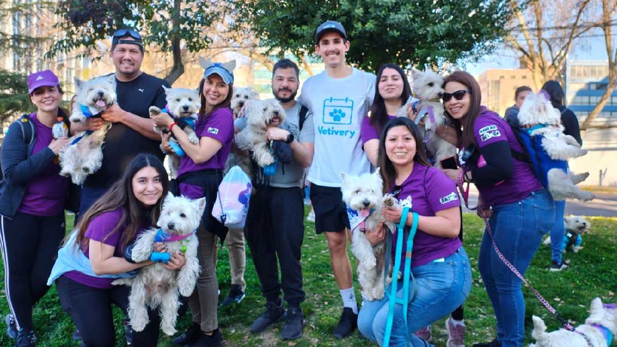 archivo infogate web-5-2-34-44