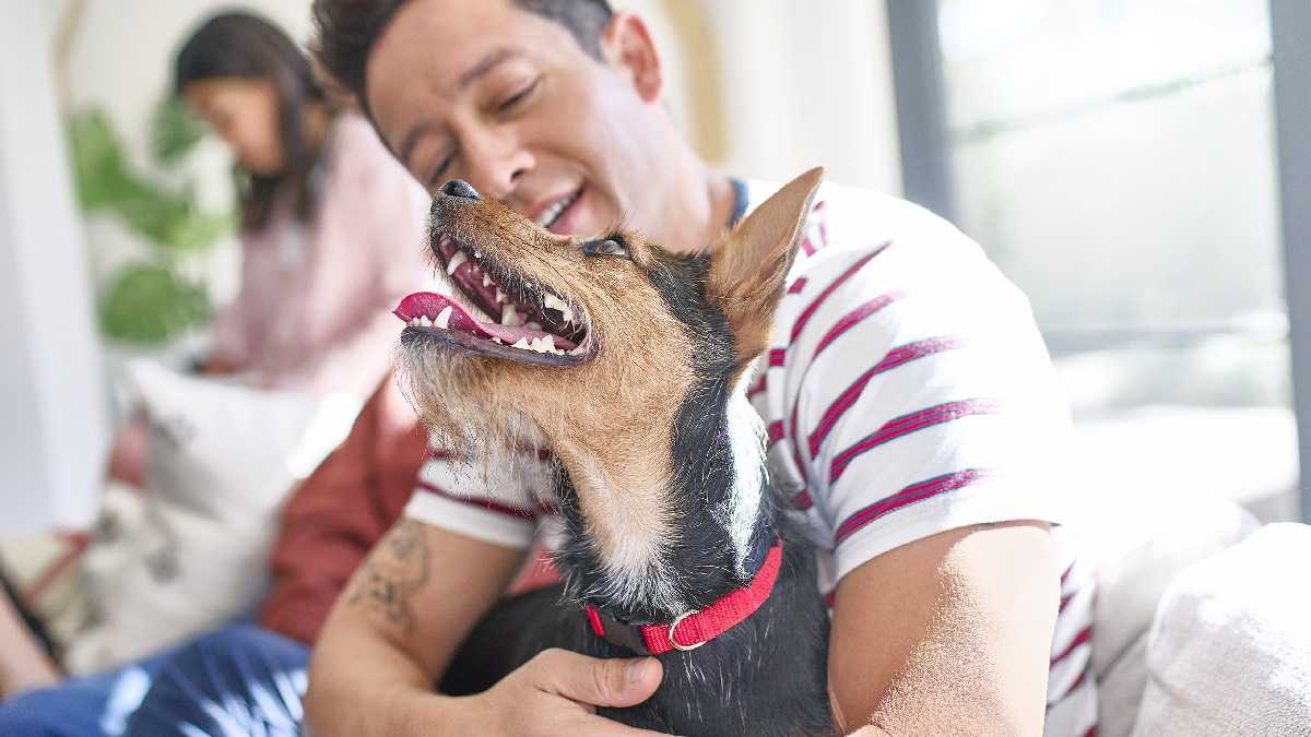 archivo infogate web-5-2-34-5