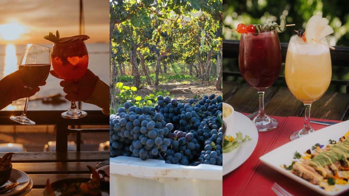 archivo infogate web-5-2-34-8