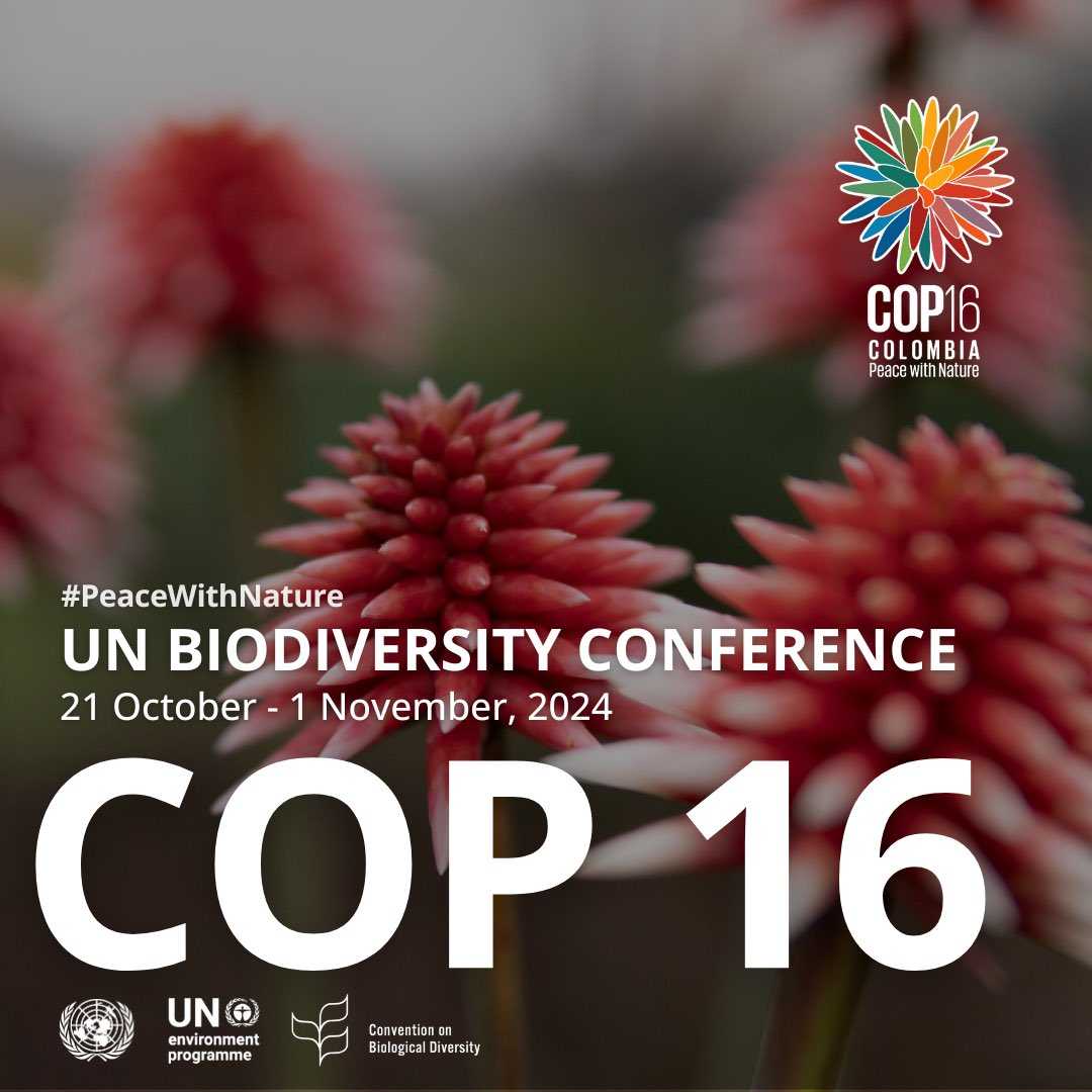 COP 16